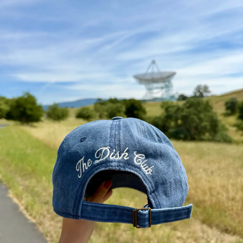 The Dish Club